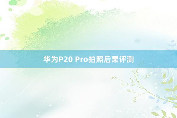 华为P20 Pro拍照后果评测